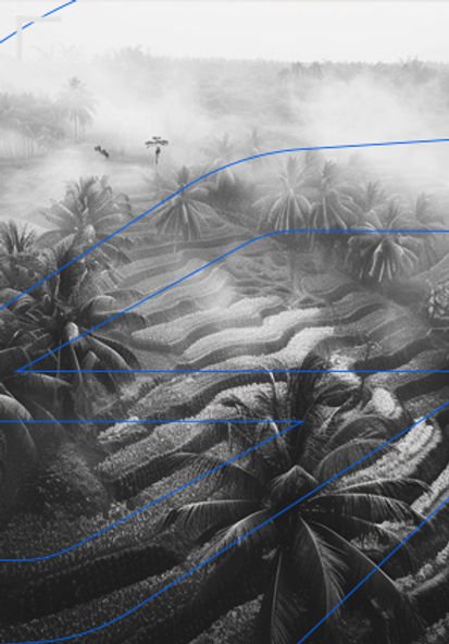 Agriculture & Crop Monitoring