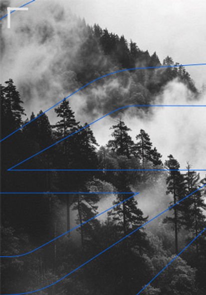 Forest Monitoring